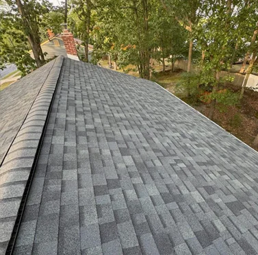 Roof Leak Repair Near Me